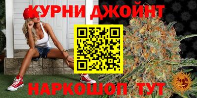 СК Гагарин